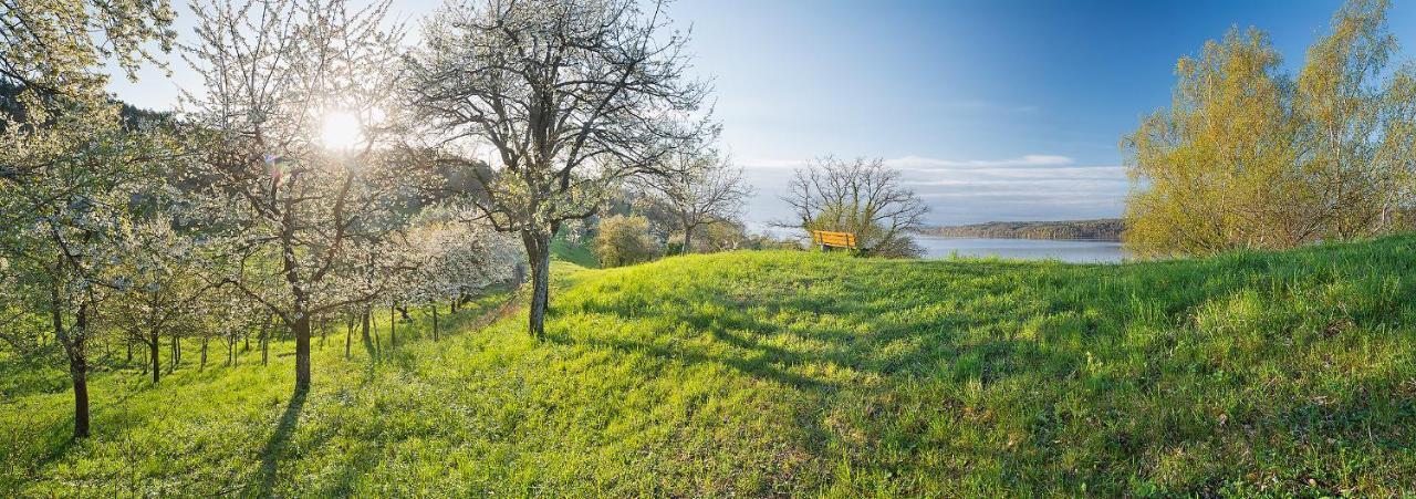Apartment mit Seeblick
